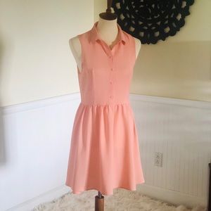 H&M Vintage Inspired Sleeveless Swing Dress